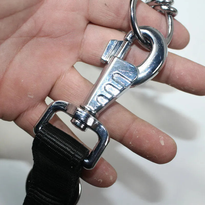 Reflective PP dog training traction rope in black and green colour options for large dog control