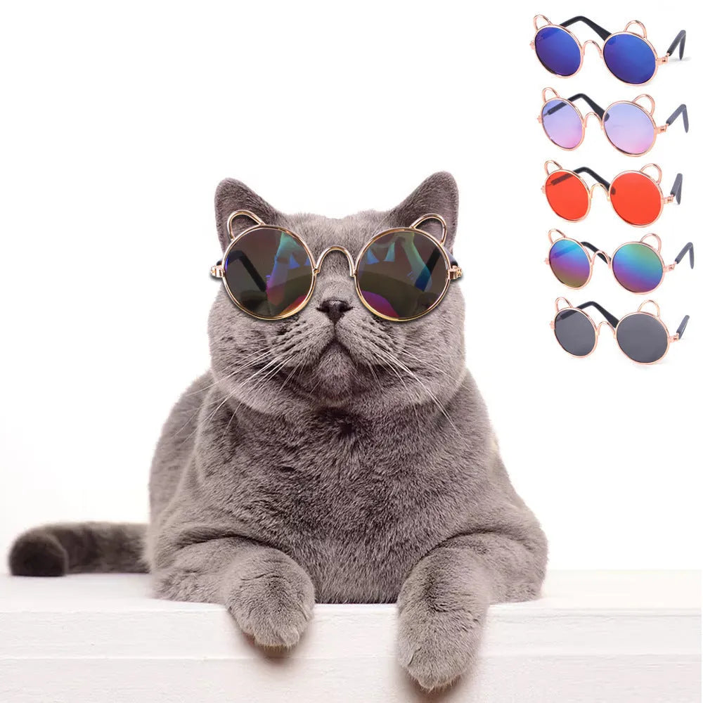 Cat wearing metal frame sunglasses in black with reflective lenses