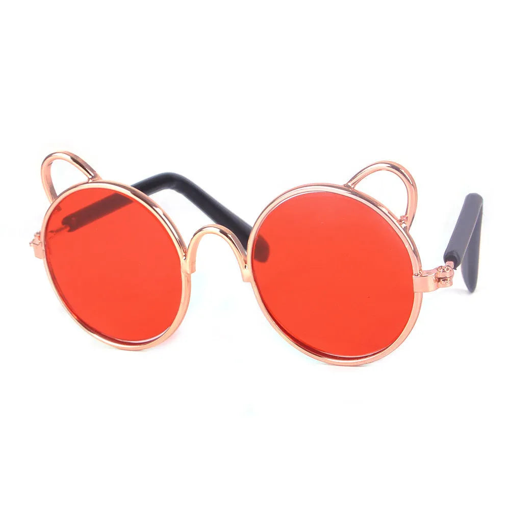 Cat wearing metal frame sunglasses in black with reflective lenses