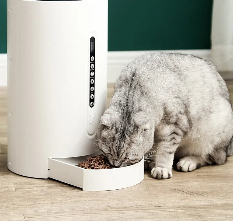 White smart pet feeder with 4.6L capacity and programmable timing for cats and dogs