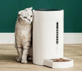 White smart pet feeder with 4.6L capacity and programmable timing for cats and dogs