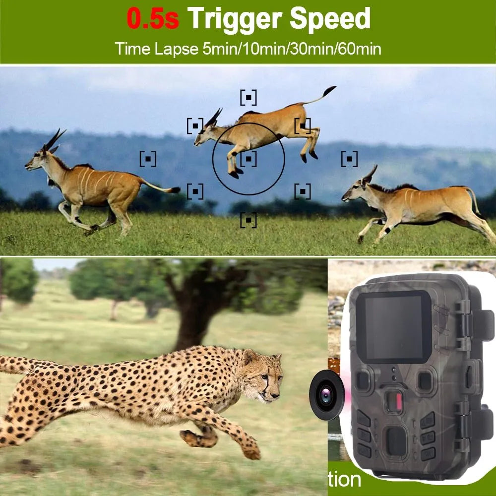 Black infrared night vision monitoring device with 12 megapixel resolution and TF card storage
