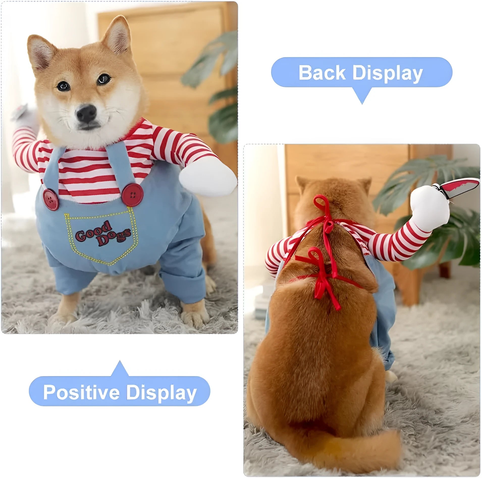 Halloween costume set on pet dog, showing striped harness pants and plastic knife prop.