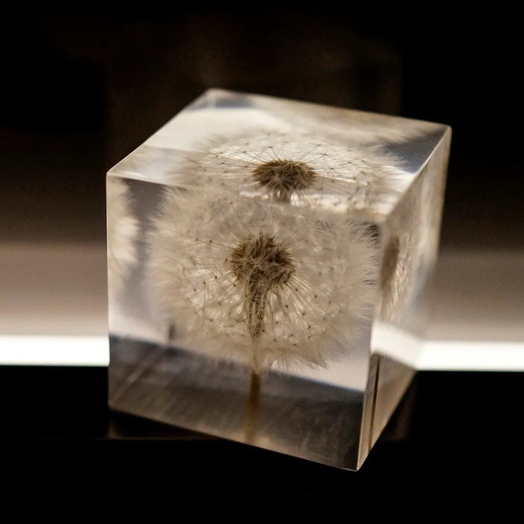 Clear resin cube with preserved dandelion flower, wooden box, and USB charging base