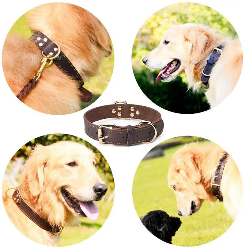 Black cowhide dog collar with metal buckle, size M suitable for medium dogs
