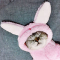 Cat clothes in cute pink rabbit design for kittens, soft cotton fabric, available in multiple sizes