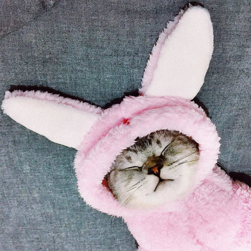Cat clothes in cute pink rabbit design for kittens, soft cotton fabric, available in multiple sizes