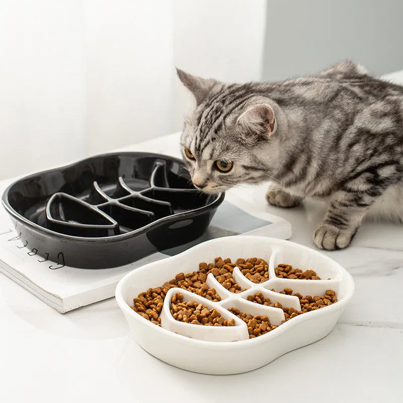Ceramic shallow cat bowl in black on a light background, showing wide lip and low profile for whisker comfort