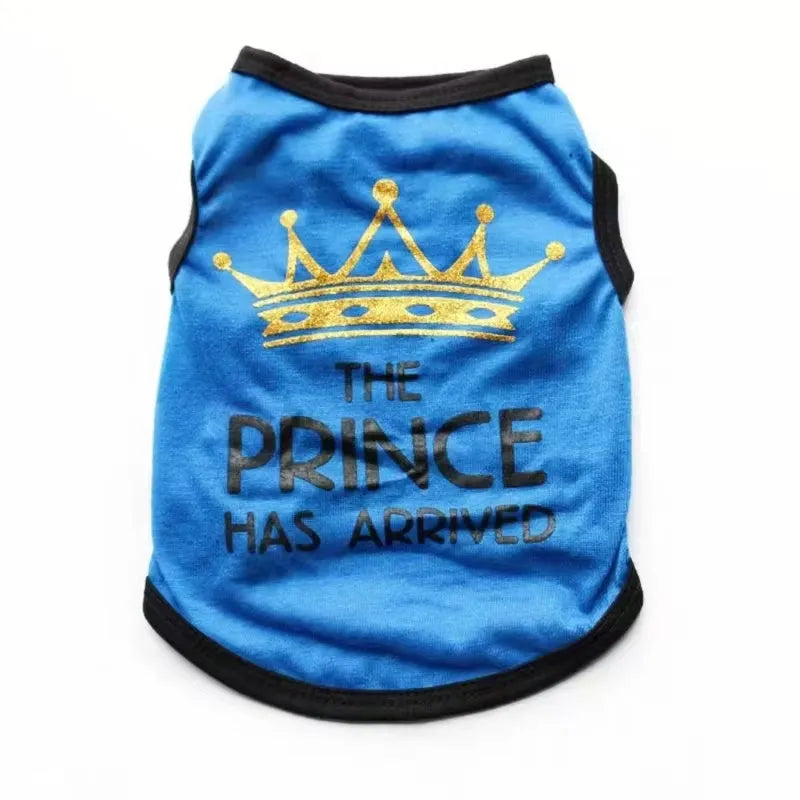 A casual cotton vest for a puppy, shown in a choice of colours including black, grey, blue, and pink.