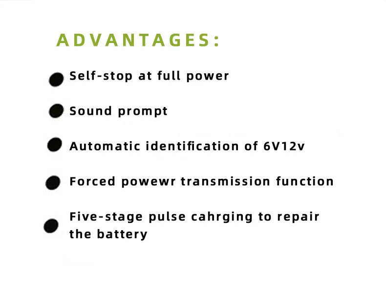 BT 168 12V 24V lead acid battery charger with American Standard plug and compact body