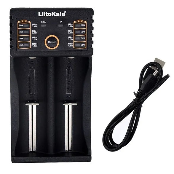 C20 lithium battery charger with two slots, LED display, and Micro USB input, shown with batteries