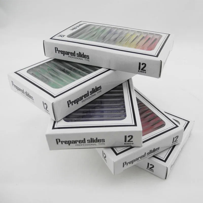 48 plastic microscope slides in red, green, yellow, blue boxes with plant and animal specimens for children's science observation