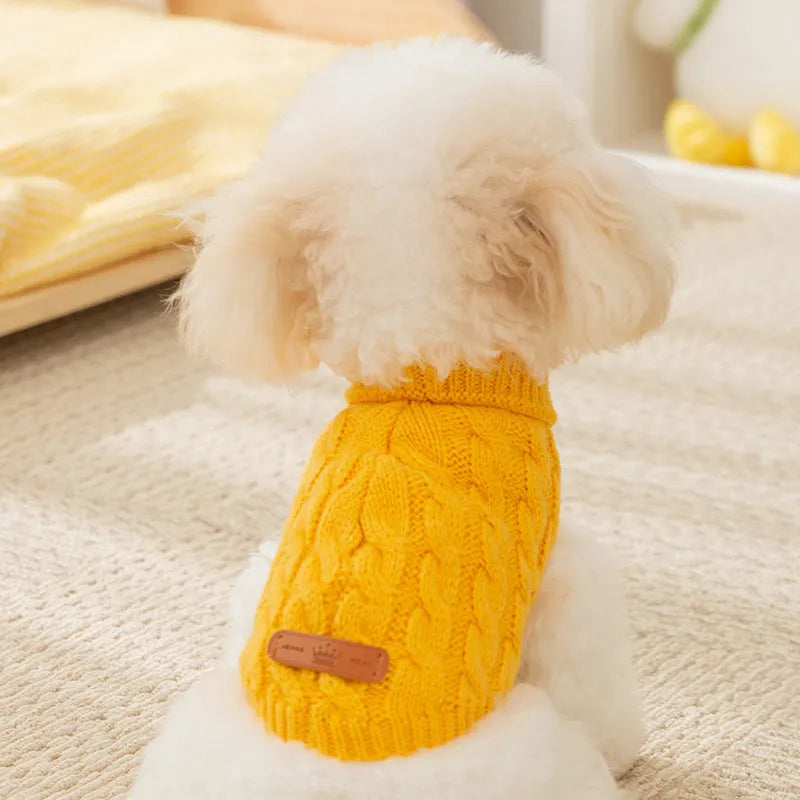 Dog wearing a simple twisted knitted sweater in autumn winter colours for small to medium dogs