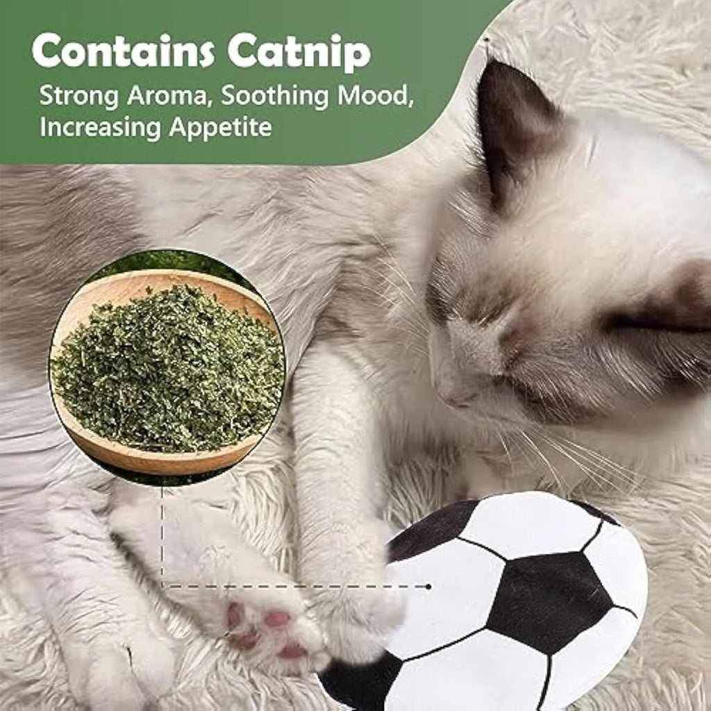 Catnip flying disc toy with sports ball pattern, plush exterior, and crinkle sounds for indoor cats