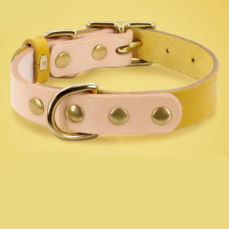 Leather cat collar in green with lettering plate on a neutral background