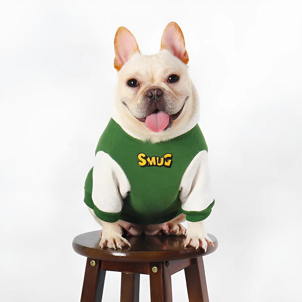 Green branded cotton dog jumper for medium to large dogs in autumn and winter.