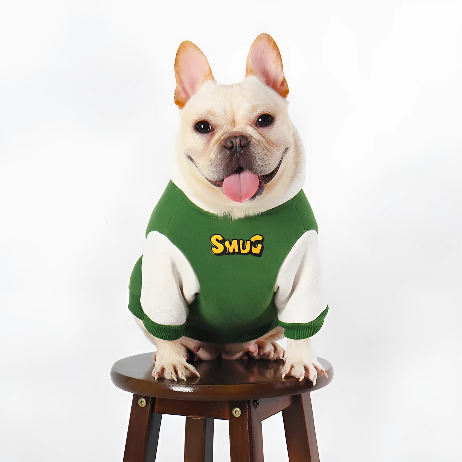 Green branded cotton dog jumper for medium to large dogs in autumn and winter.