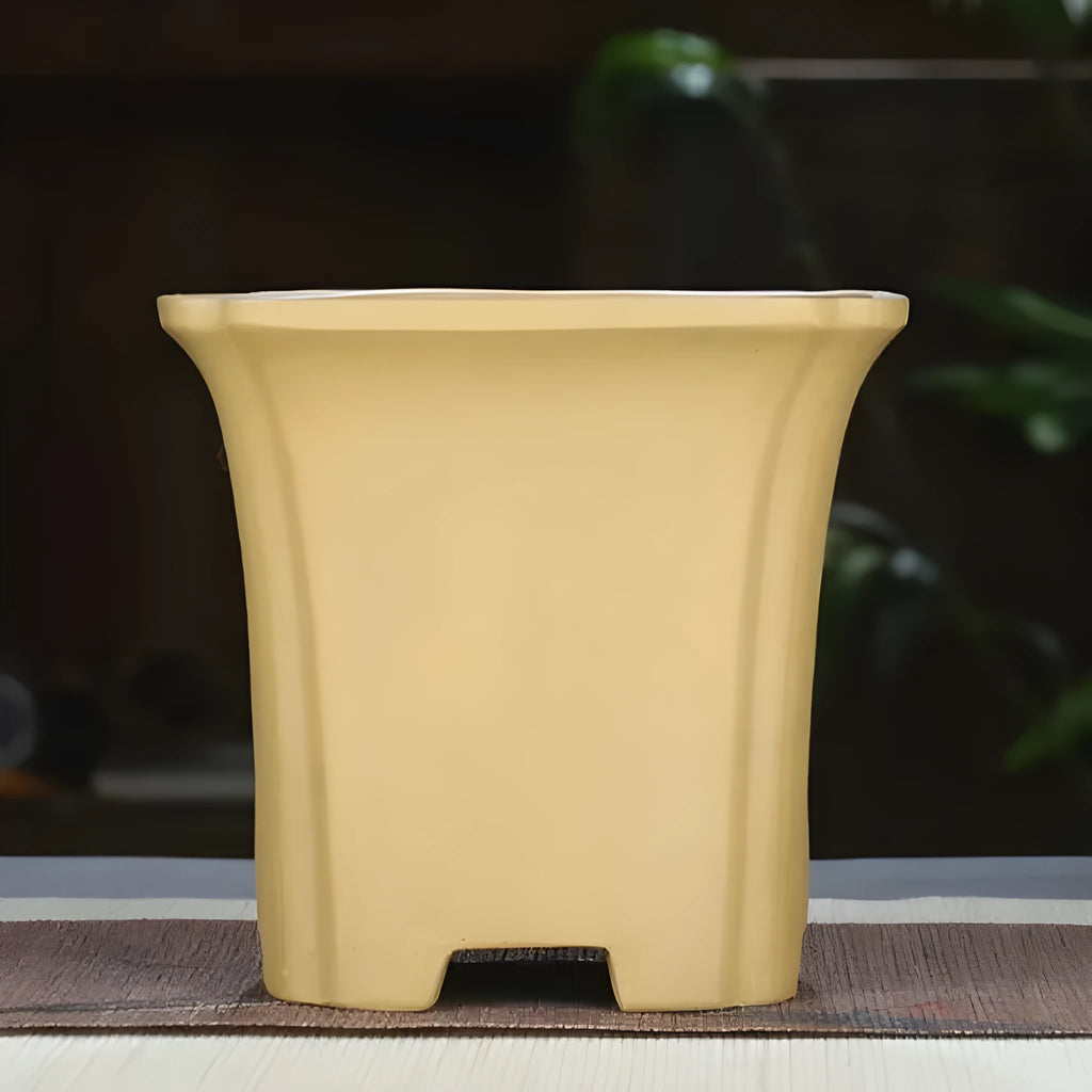 Classical square purple clay orchid pot in black colour, width 15.5 cm