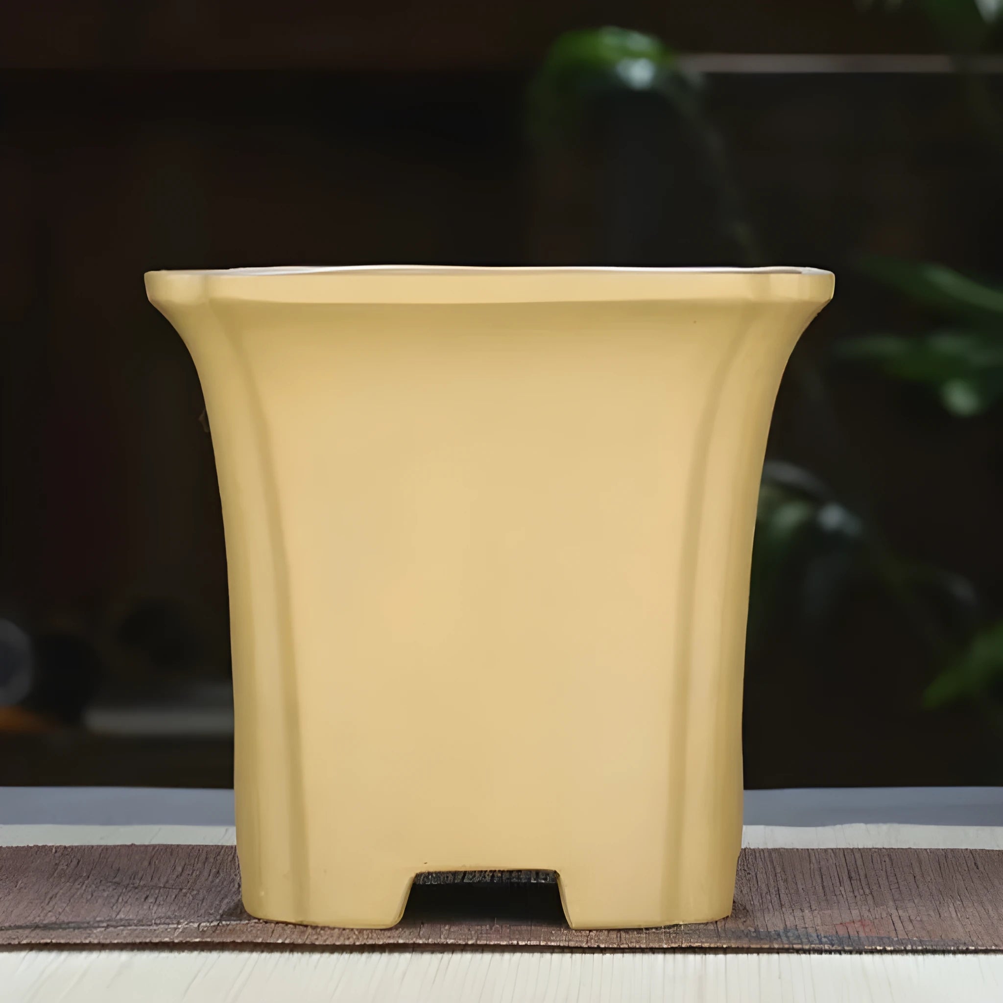 Classical square purple clay orchid pot in black colour, width 15.5 cm