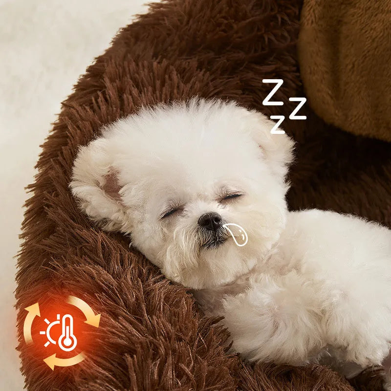Plush sofa bed for small dogs and cats, shown in medium and large sizes.