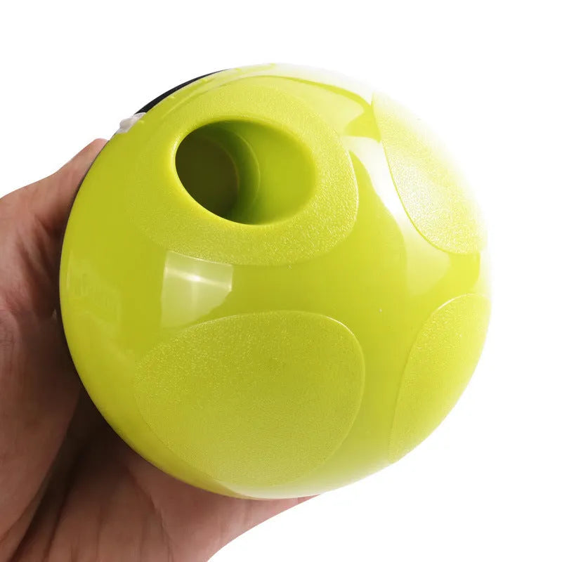 Pet food feeder dispenser funny toy green treat ball on carpet with dog