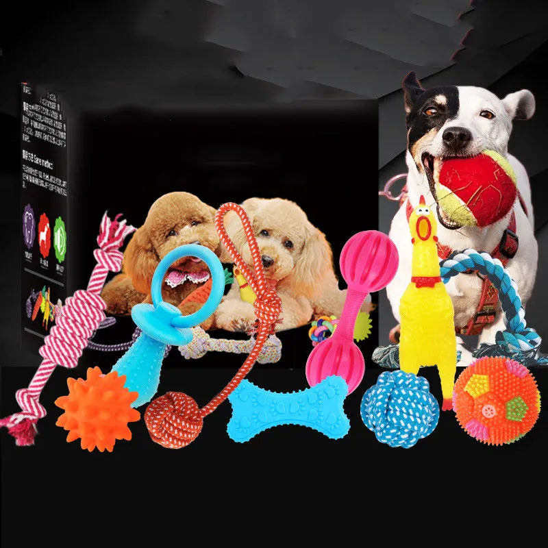 Assorted dog toy set with squeaky chicken, cotton rope knots, tennis ball, and frisbee on bright background