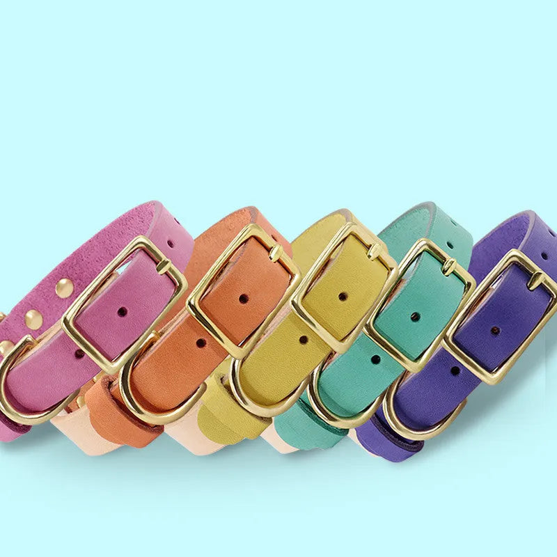 Leather cat collar in green with lettering plate on a neutral background