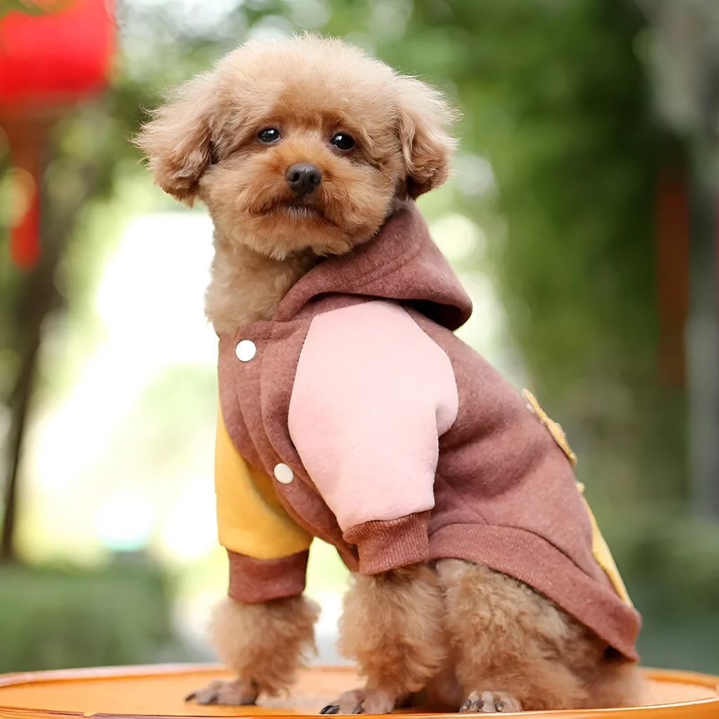 Brown cotton dog hoodie sweatshirt on a mannequin, showing hooded design.