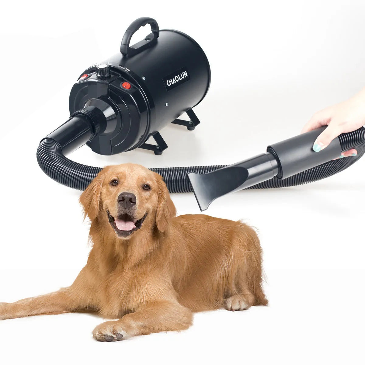 Pet water blowing machine in black with nozzle, adjustable wind speed and temperature for dogs and cats