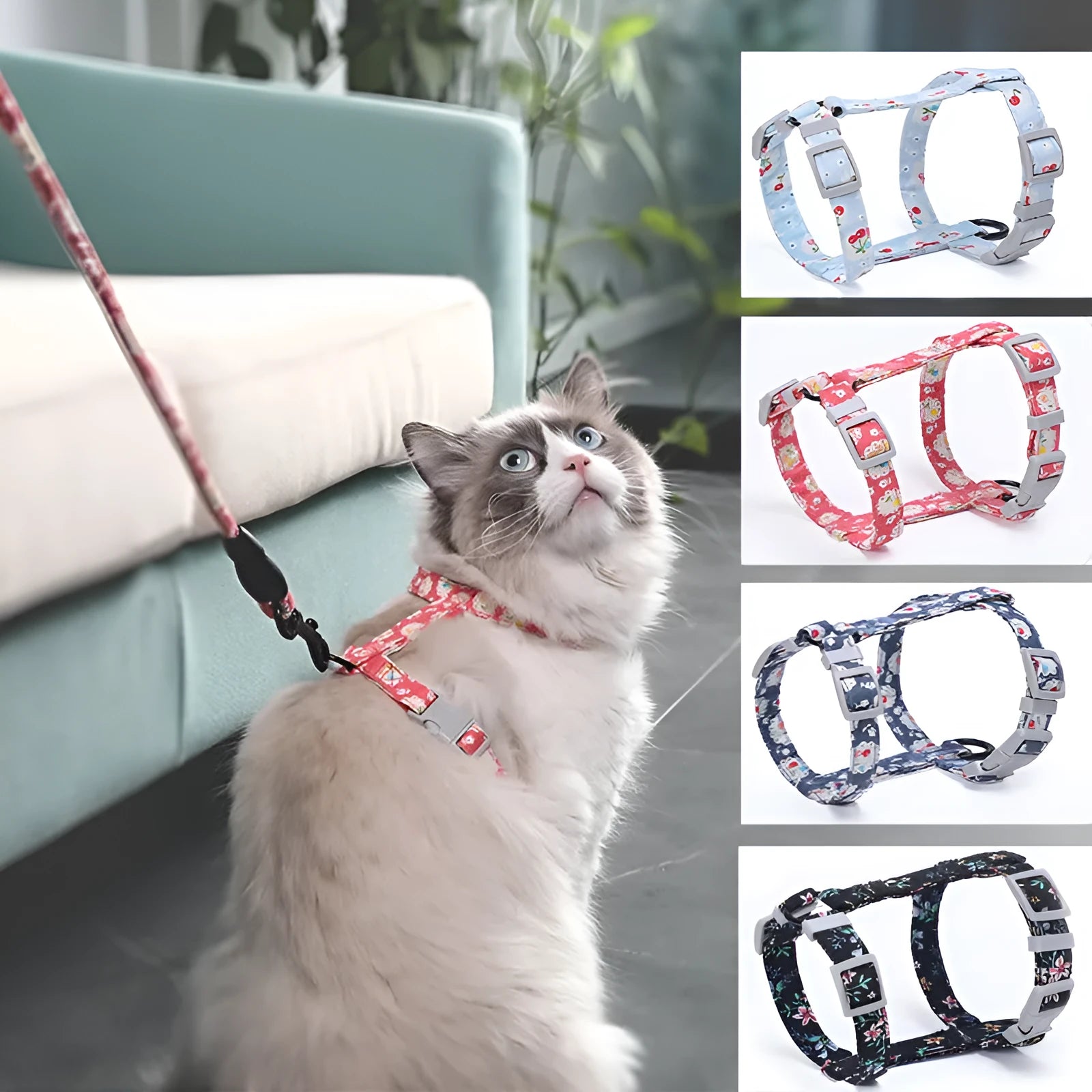 Cat I-shaped chest harness in blue with metal accessories and 150cm rope lead on white background