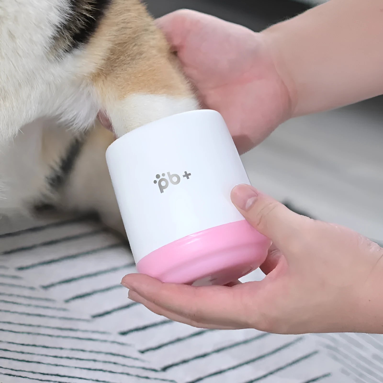 Pet footbath foot cleansing cup in Cherry Pink with soft silicone brushes for cleaning dog or cat paws