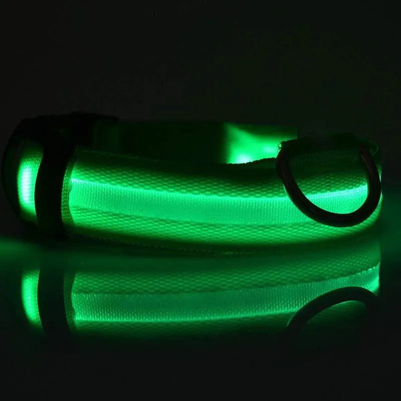 Nylon LED dog collar glowing blue on a black background, with adjustable buckle and four light modes for pet night safety