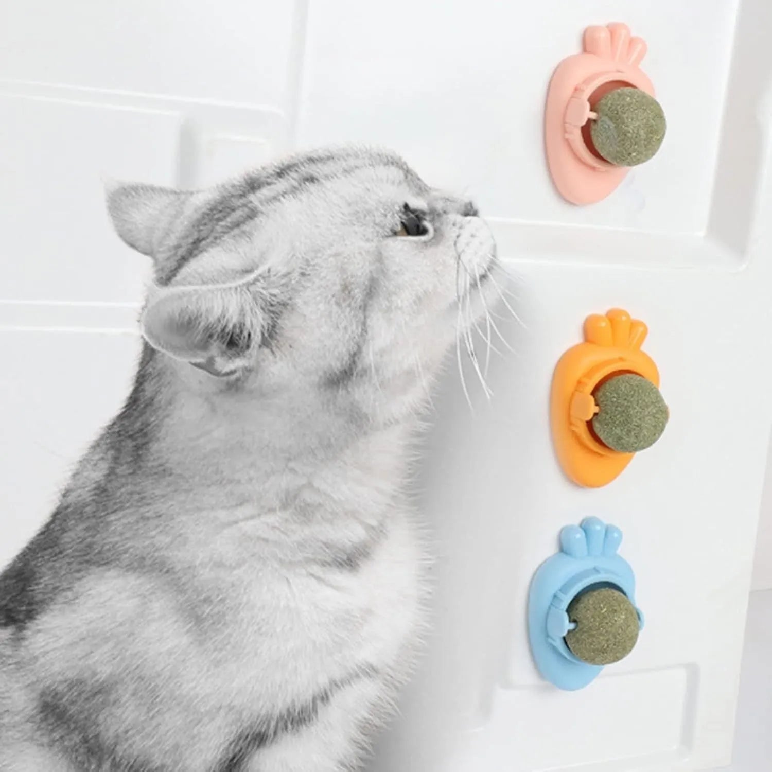 Blue carrot-shaped catnip dental toy with adhesive backing for wall mounting