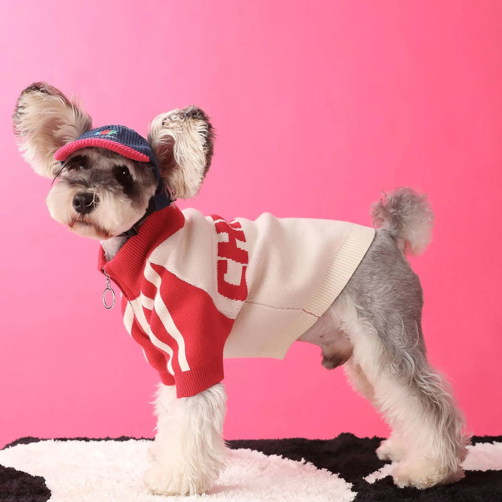 Puppy dog sports sweater cardigan in wool for men's pet clothing size S to XXL red or dark green