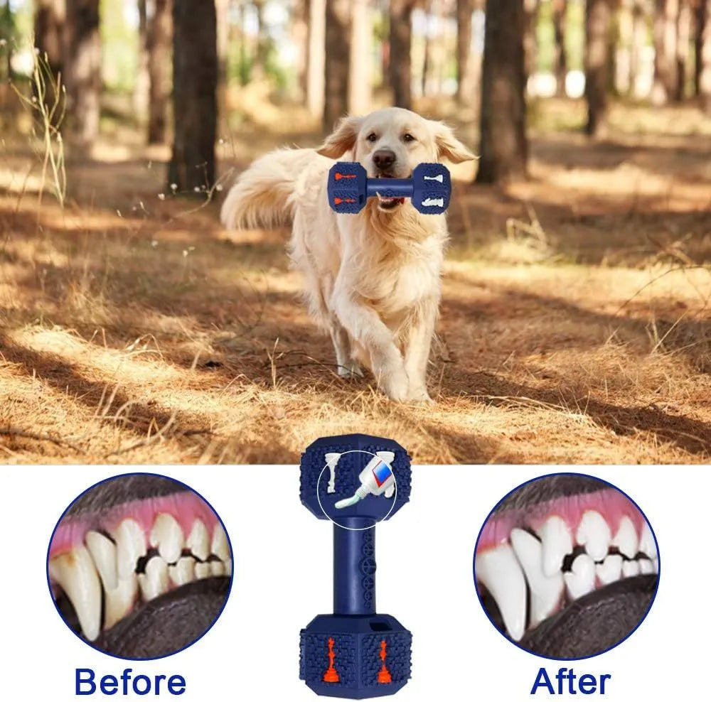 Durable black rubber dumbbell-shaped dog chew toy with textured surface for aggressive chewers.
