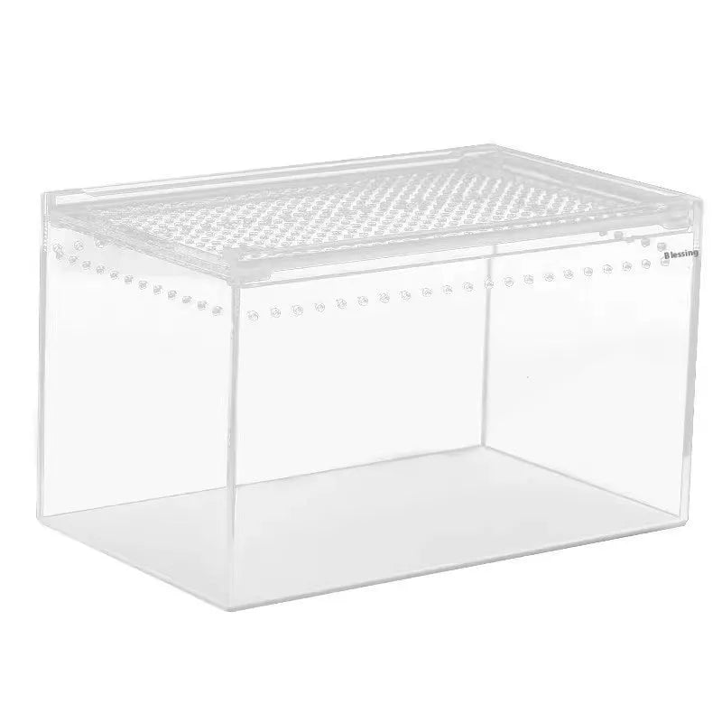 Clear acrylic reptile feeding box showing transparent sides and ventilation, next to a size chart.