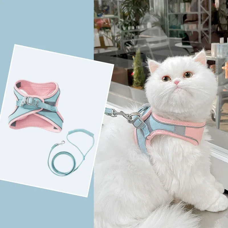 Blue and orange stitched reflective suede cat walking harness with a separate 1.5 metre rope.