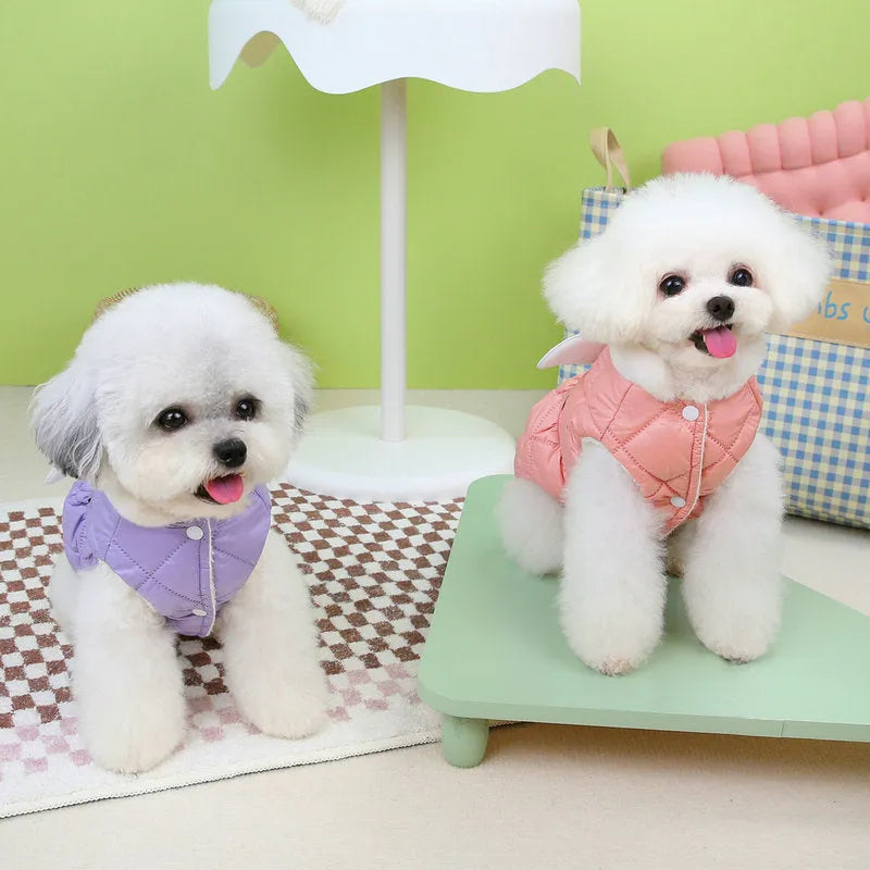 Small dog wearing pink thickened cotton skirt with casual angel-style design