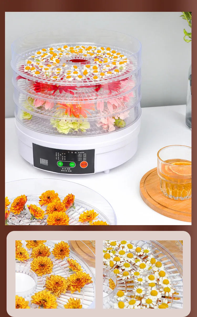 Five-layer stainless steel tray food dehydrator with British plug for home use.