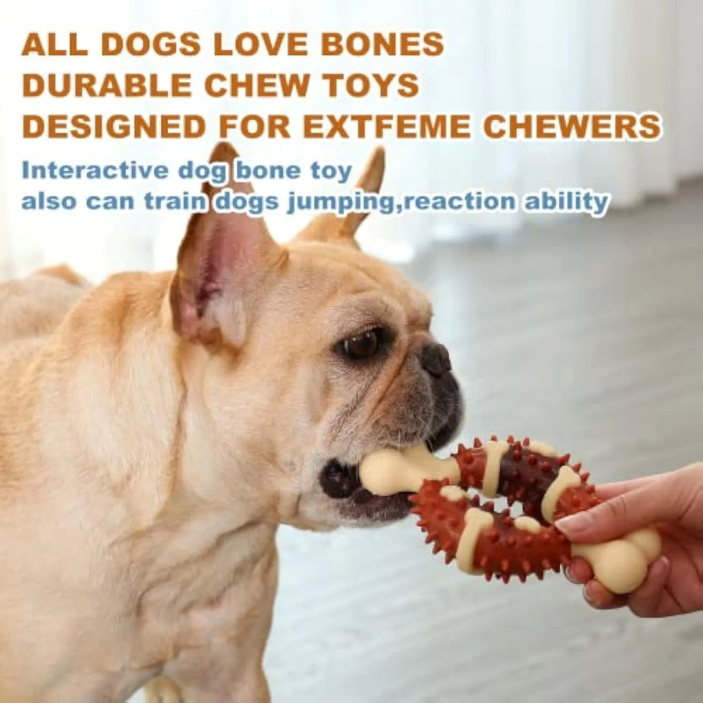 Bone-shaped natural rubber dog molar chew toy for teeth grinding, shown in large and small sizes.