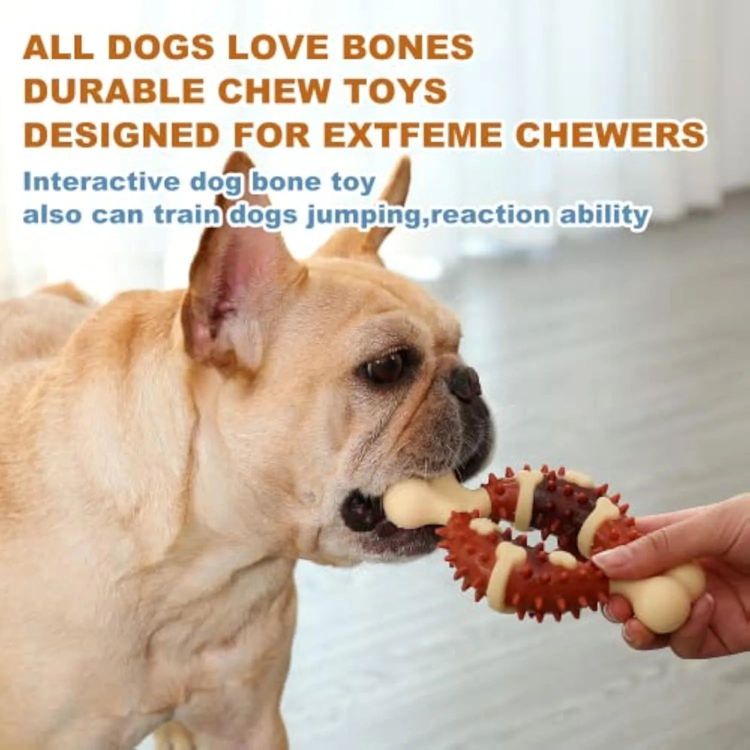 Bone-shaped natural rubber dog molar chew toy for teeth grinding, shown in large and small sizes.