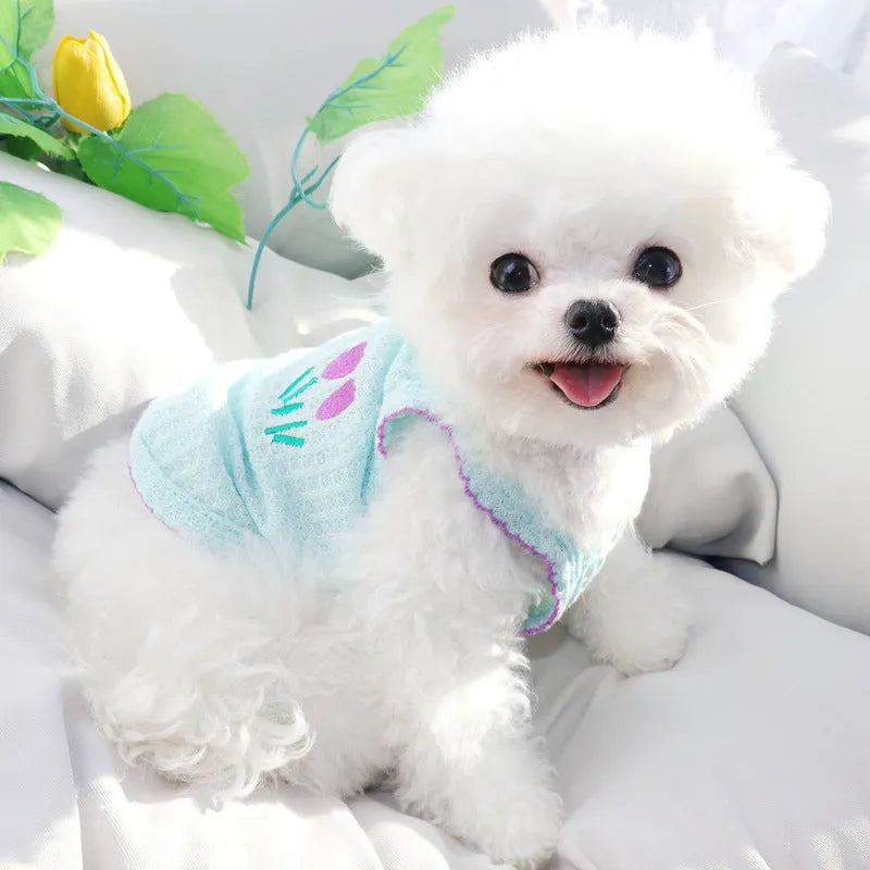 Cartoon pet vest for small dogs and cats in yellow