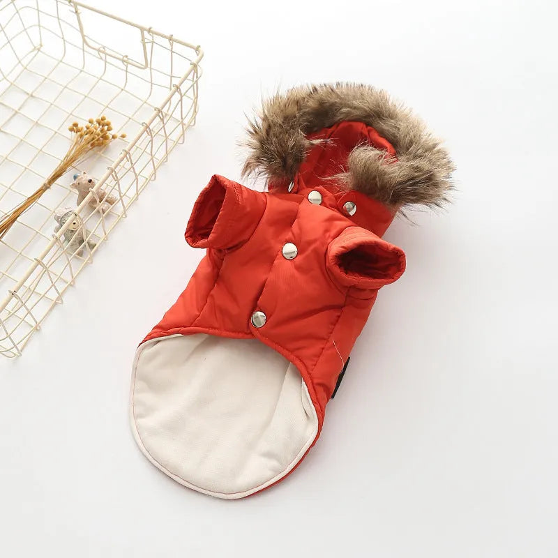 Hooded cotton coat dog clothing in beige on a small dog with an adjustable hood and button closure