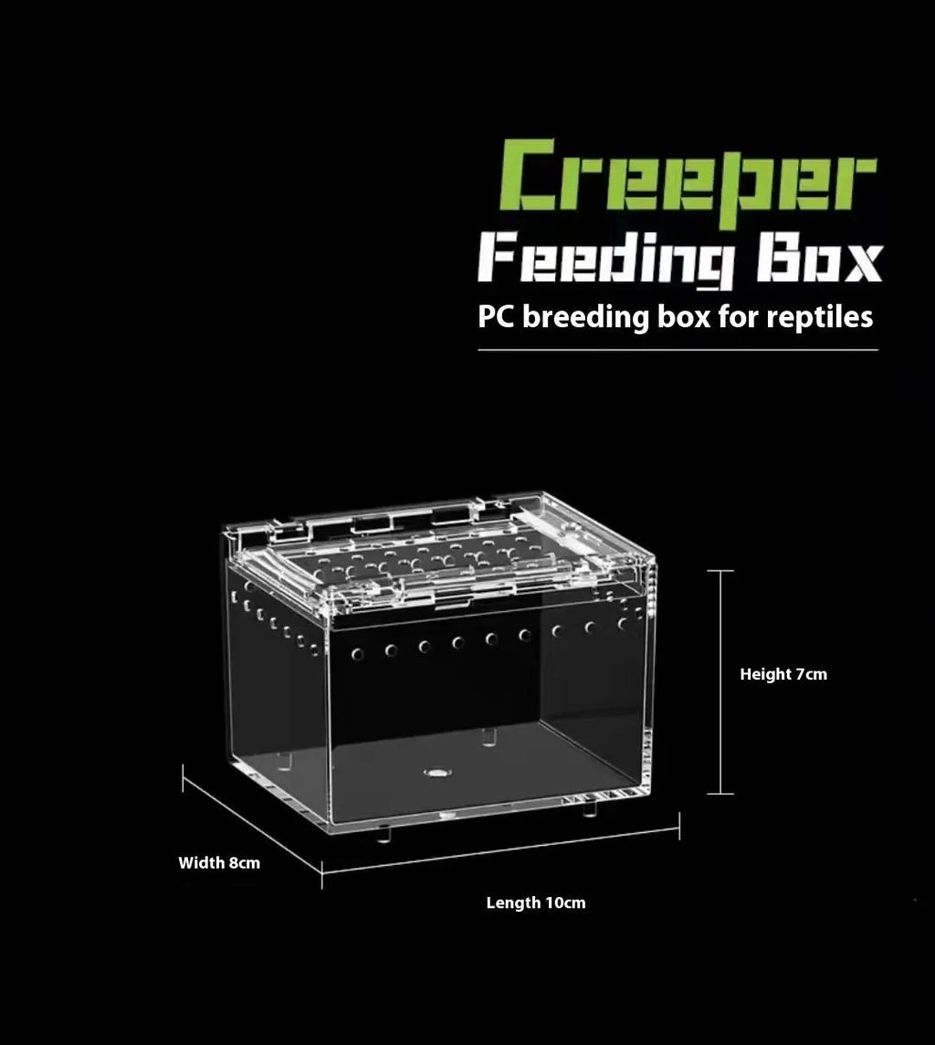 Clear acrylic reptile feeding box showing transparent sides and ventilation, next to a size chart.