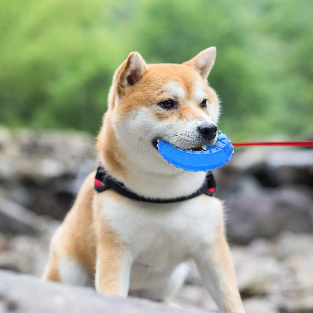 Blue freezable dog chew toy in bone and circle shapes for teething and cooling relief.