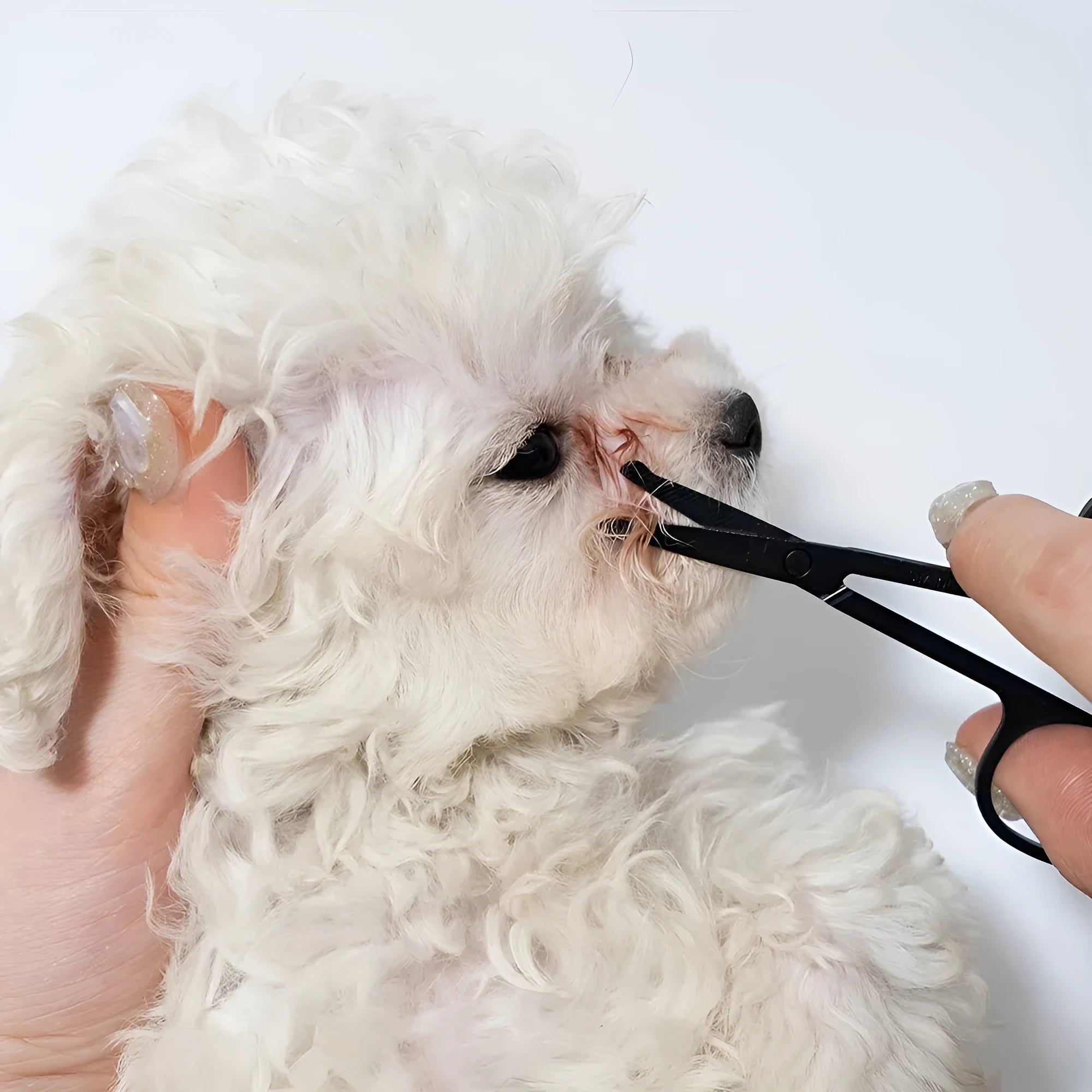 Black pet grooming brush with soft silicone bristles and comb attachment for dogs and cats