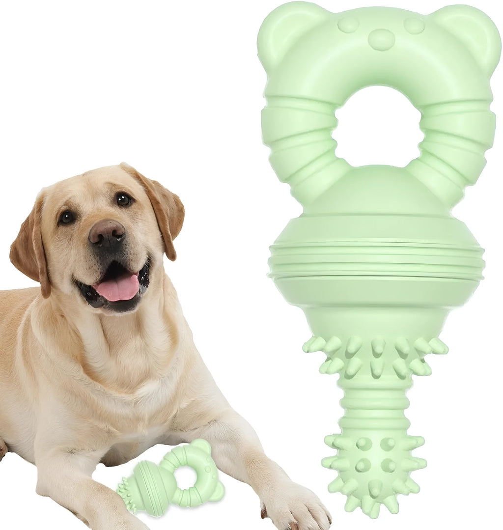 Blue rubber dog chew toy shaped like a molar with textured surface for teeth cleaning.