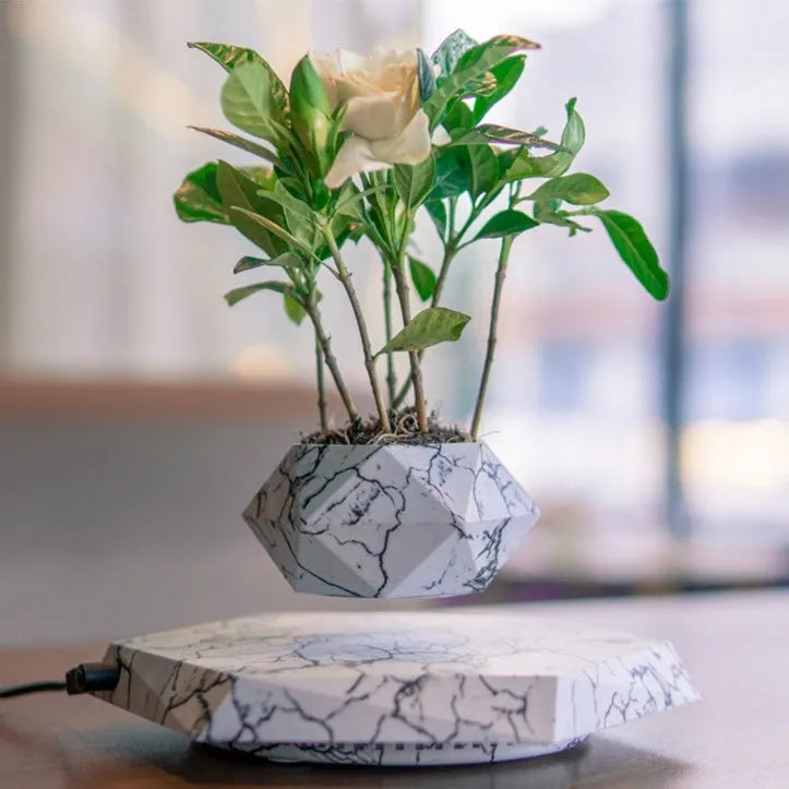Marbling colour magnetic levitating plant pot floating with bonsai in modern home setting