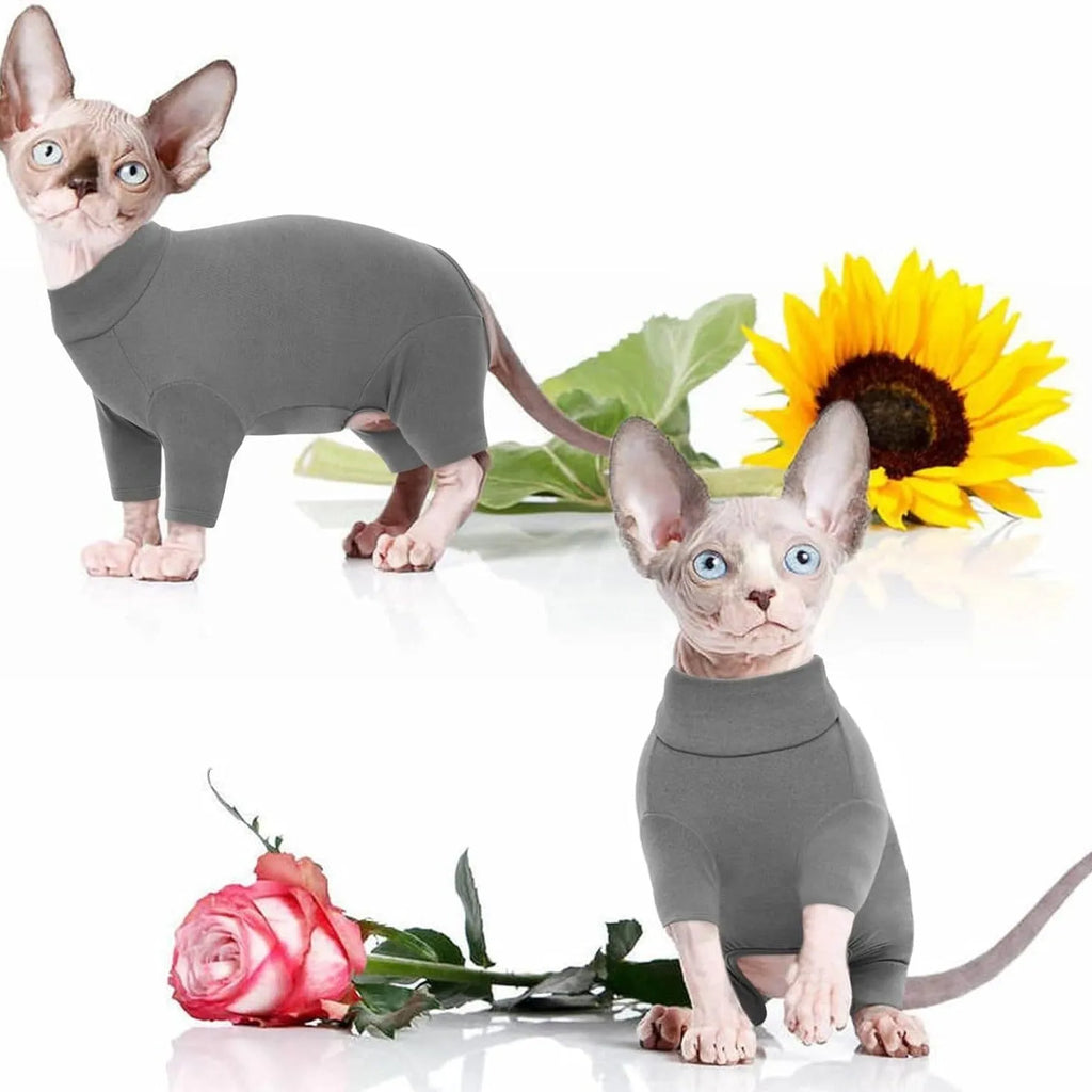 Sphynx cat wearing a soft turtleneck sweater with sleeves in a warm winter pullover design