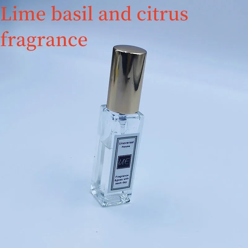 Car aromatherapy pendant set with stone diffuser, 10ml essential oil bottle, gift box, and handbag.